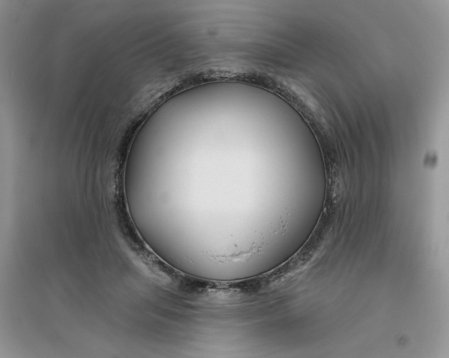 X0000096170455200802081415