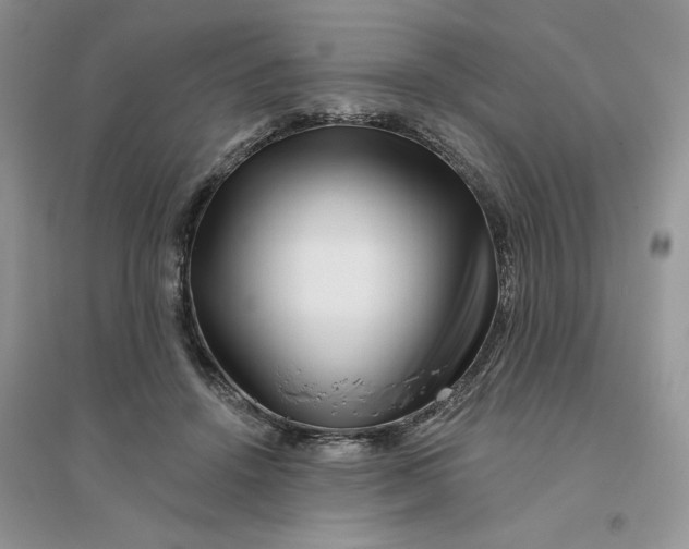 X0000096170456200802081415