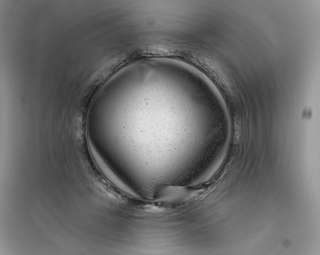 X0000096170457200802081415