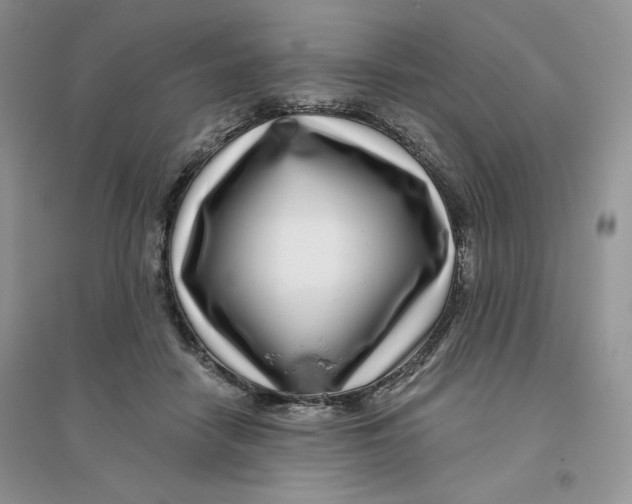 X0000096170458200802081415