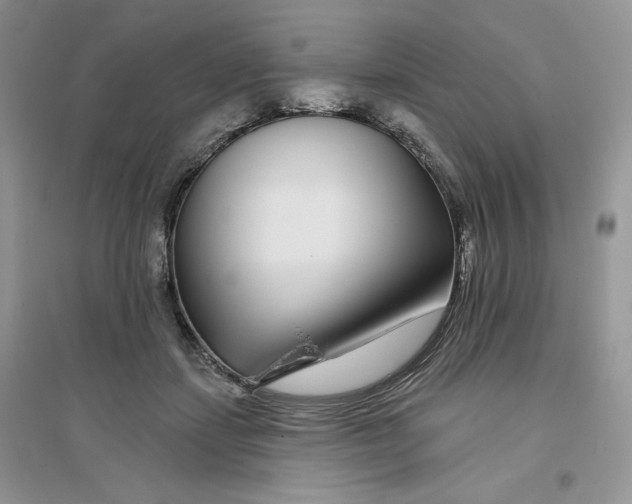 X0000096170459200802081415