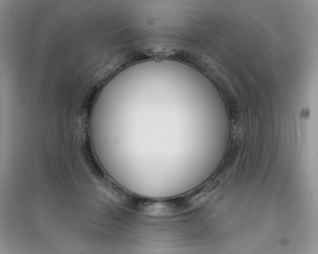 X0000096170460200802081415