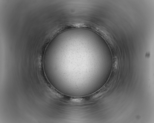 X0000096170461200802081415