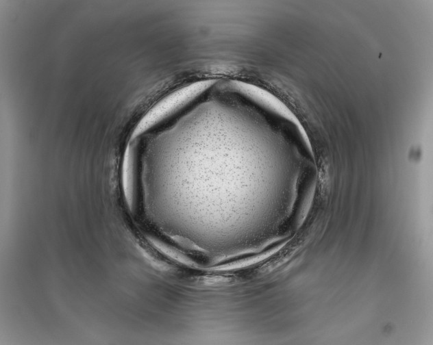 X0000096170462200802081415