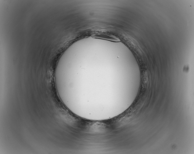 X0000096170463200802081415