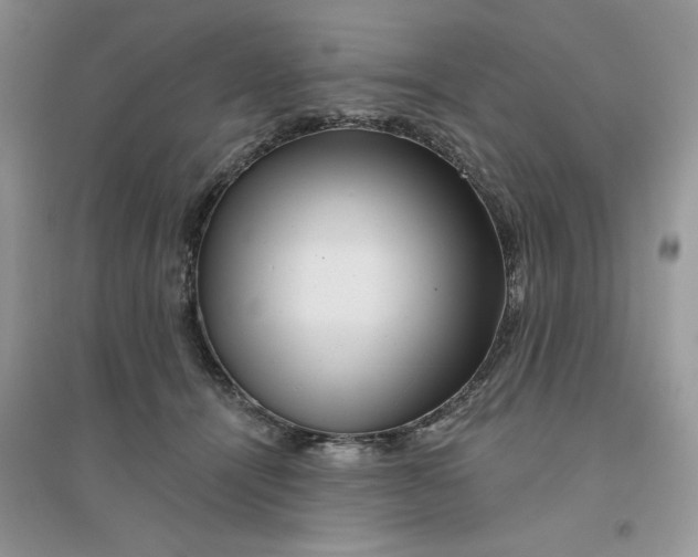 X0000096170464200802081415