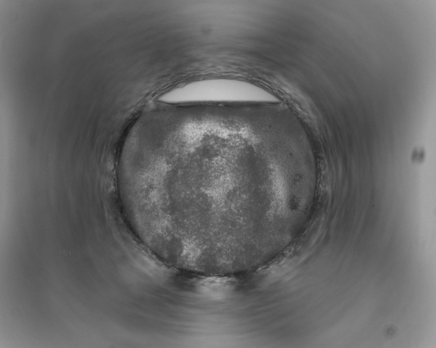 X0000096170465200802081415