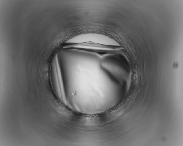 X0000096170466200802081415