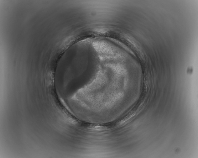 X0000096170467200802081415