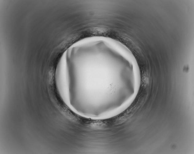 X0000096170468200802081415