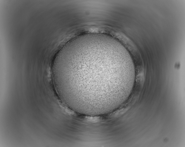 X0000096170469200802081415