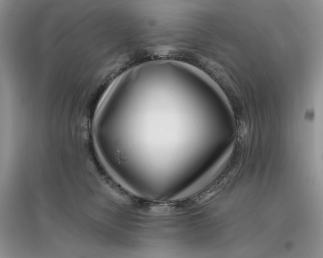 X0000096170470200802081415