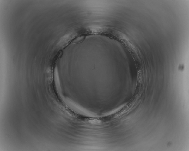 X0000096170471200802081415