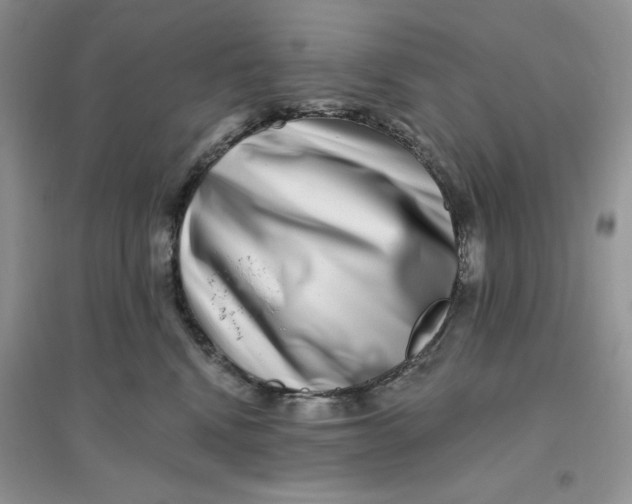 X0000096170472200802081415