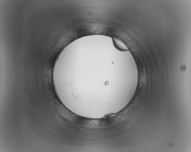 X0000096170473200802081415