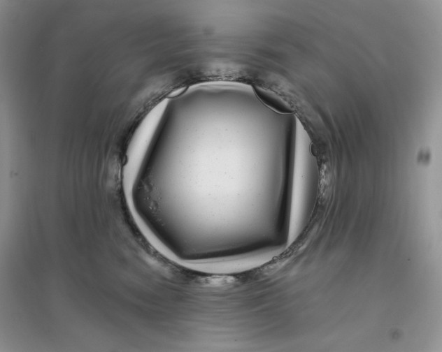 X0000096170474200802081415