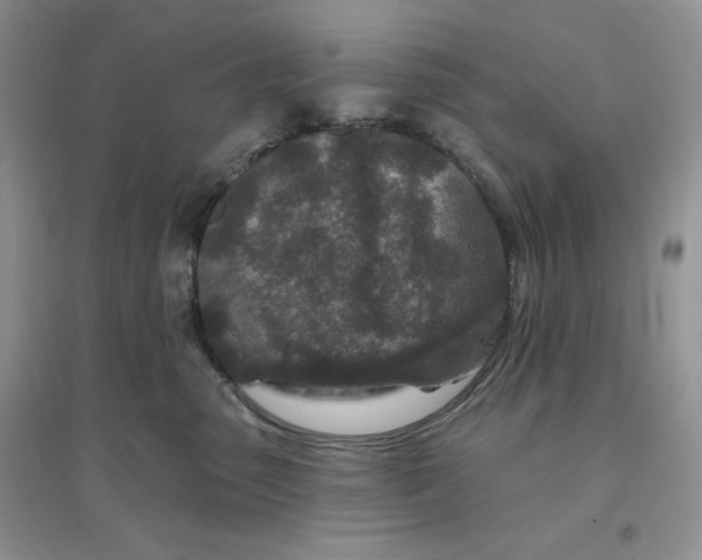 X0000096170475200802081415