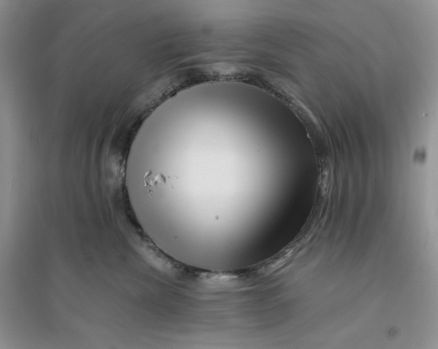 X0000096170476200802081415