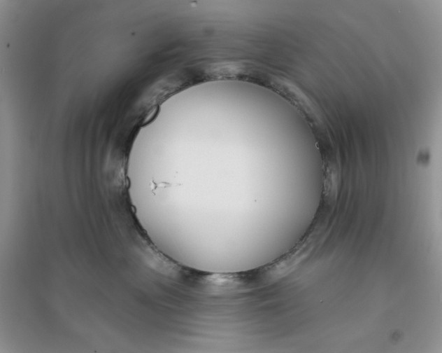 X0000096170477200802081415