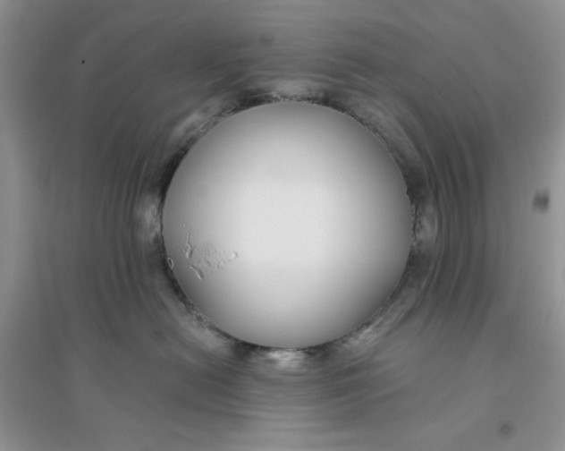 X0000096170478200802081415