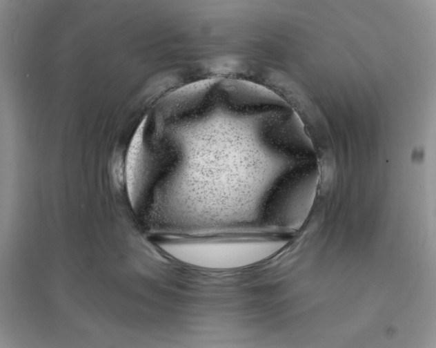 X0000096170479200802081415