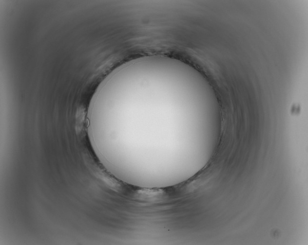 X0000096170480200802081415