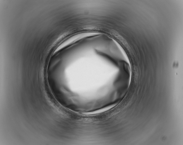 X0000096170482200802081415