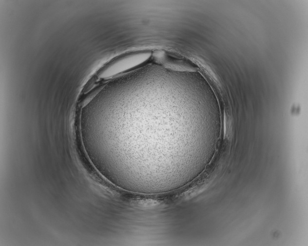 X0000096170483200802081415