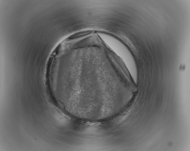 X0000096170484200802081414