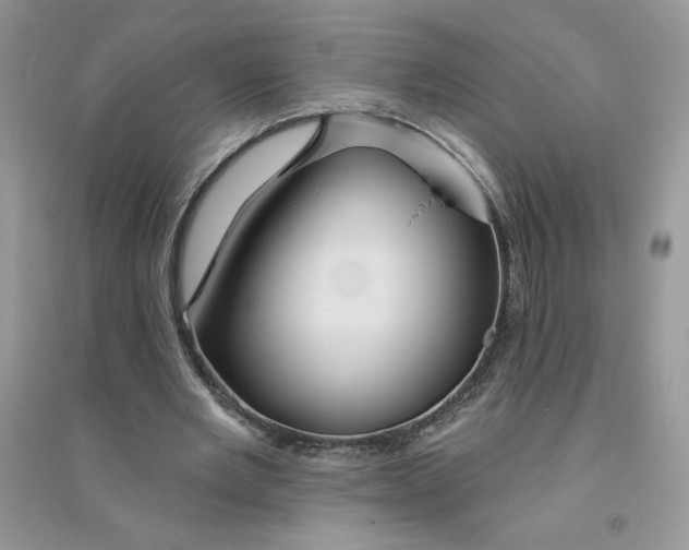 X0000096170485200802081414