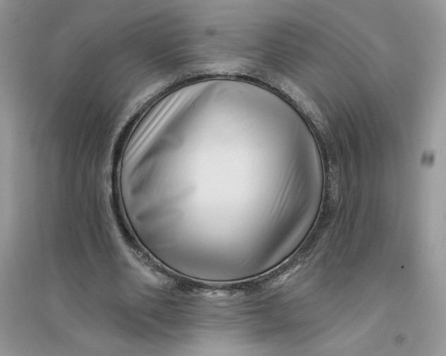 X0000096170486200802081414