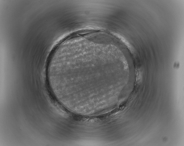 X0000096170488200802081414