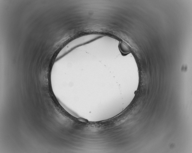 X0000096170489200802081414