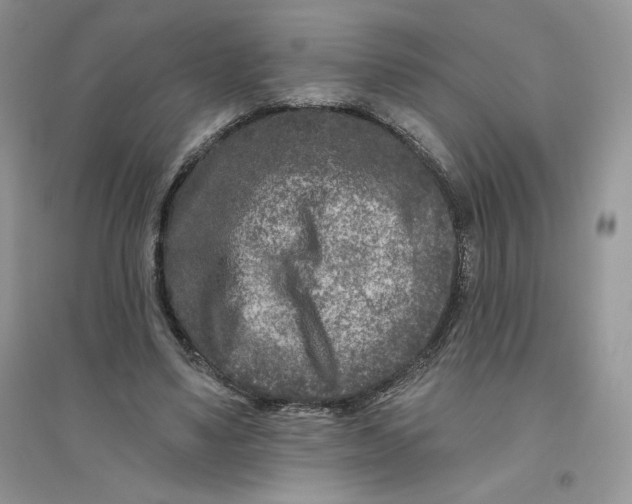 X0000096170491200802081414