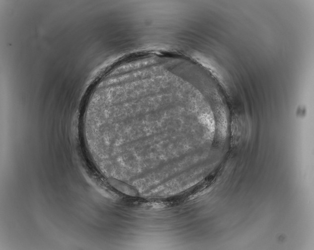 X0000096170492200802081414