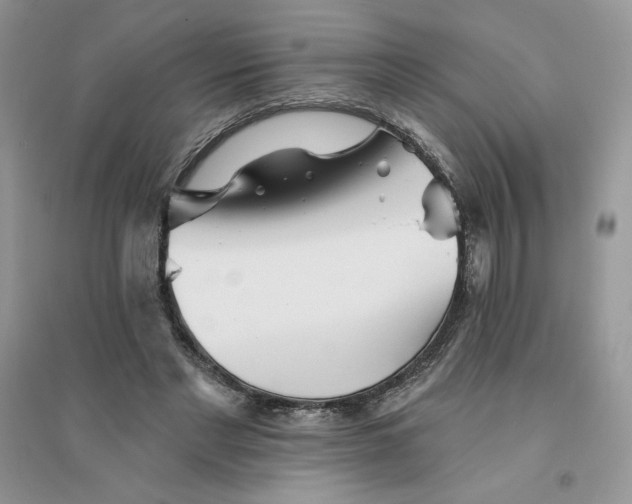 X0000096170493200802081414