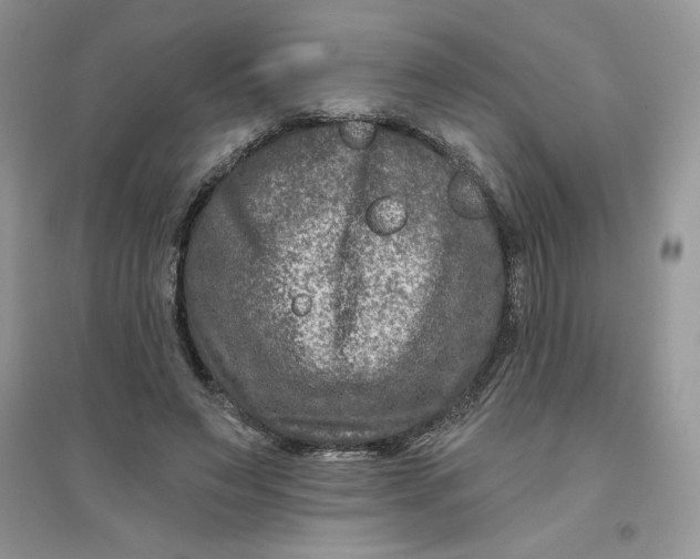 X0000096170495200802081414