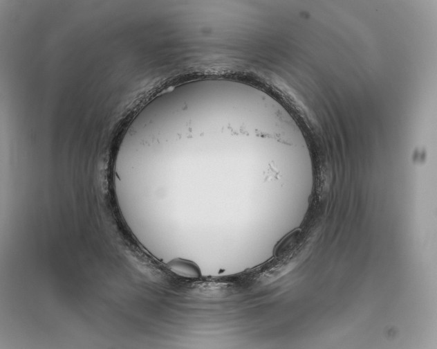 X0000096170497200802081414