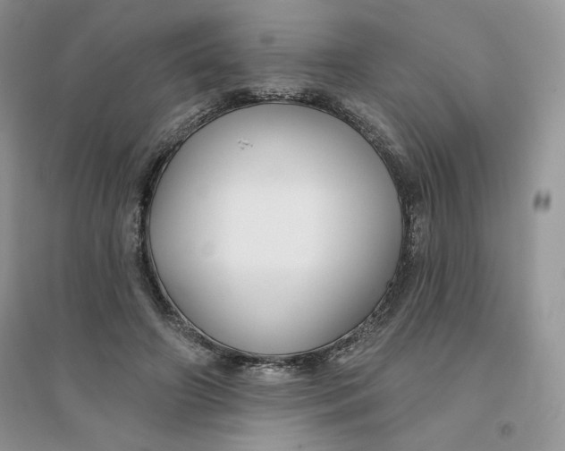 X0000096170498200802081414