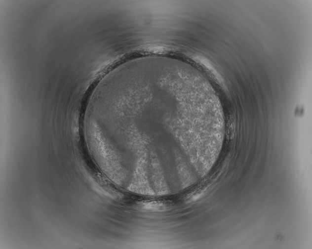 X0000096170500200802081414