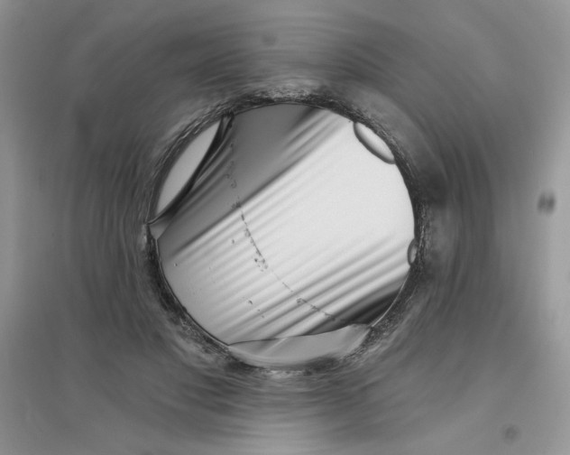 X0000096170501200802081414