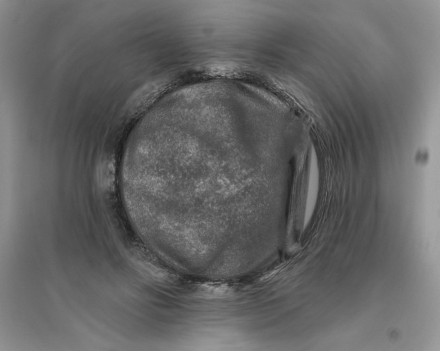 X0000096170502200802081414