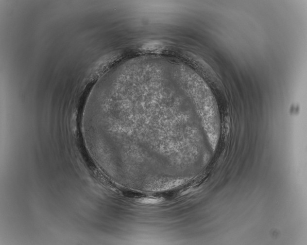 X0000096170504200802081414