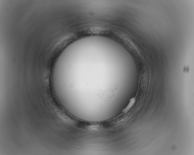 X0000096170505200802081414