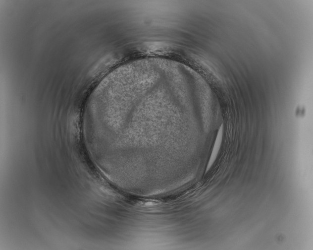 X0000096170506200802081414