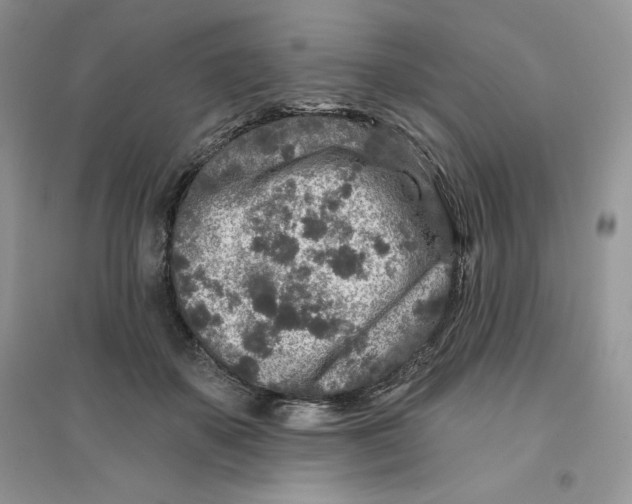 X0000096170507200802081414