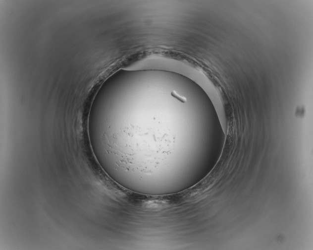 X0000096170508200802081414