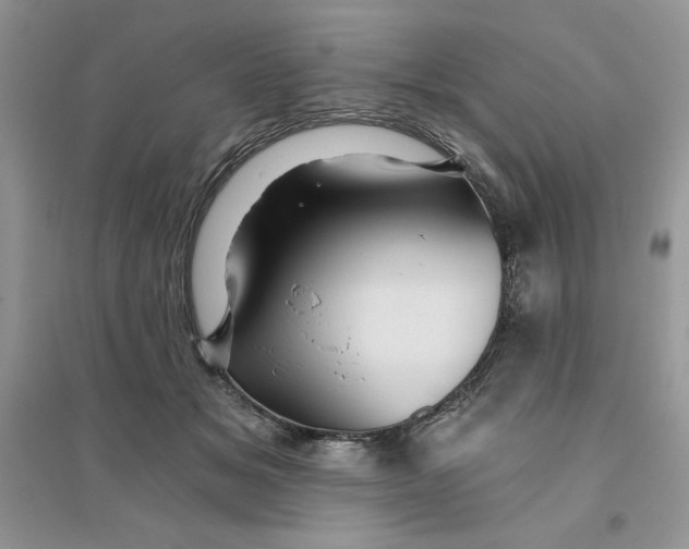 X0000096170509200802081414