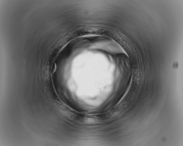 X0000096170510200802081414