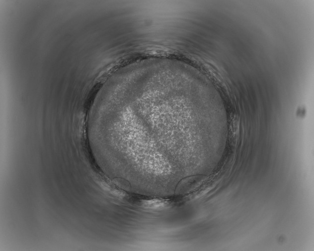 X0000096170511200802081414